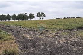 Plot SR-02-005