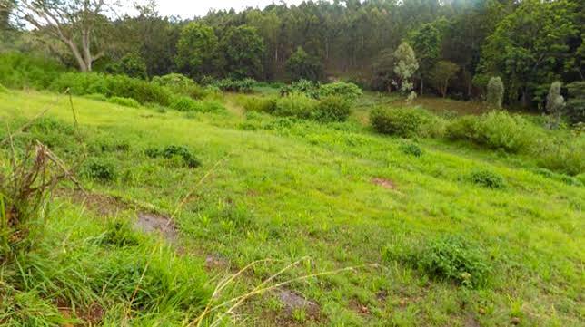 Plot SR-01-014