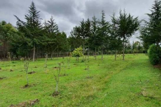 Plot SR-01-011